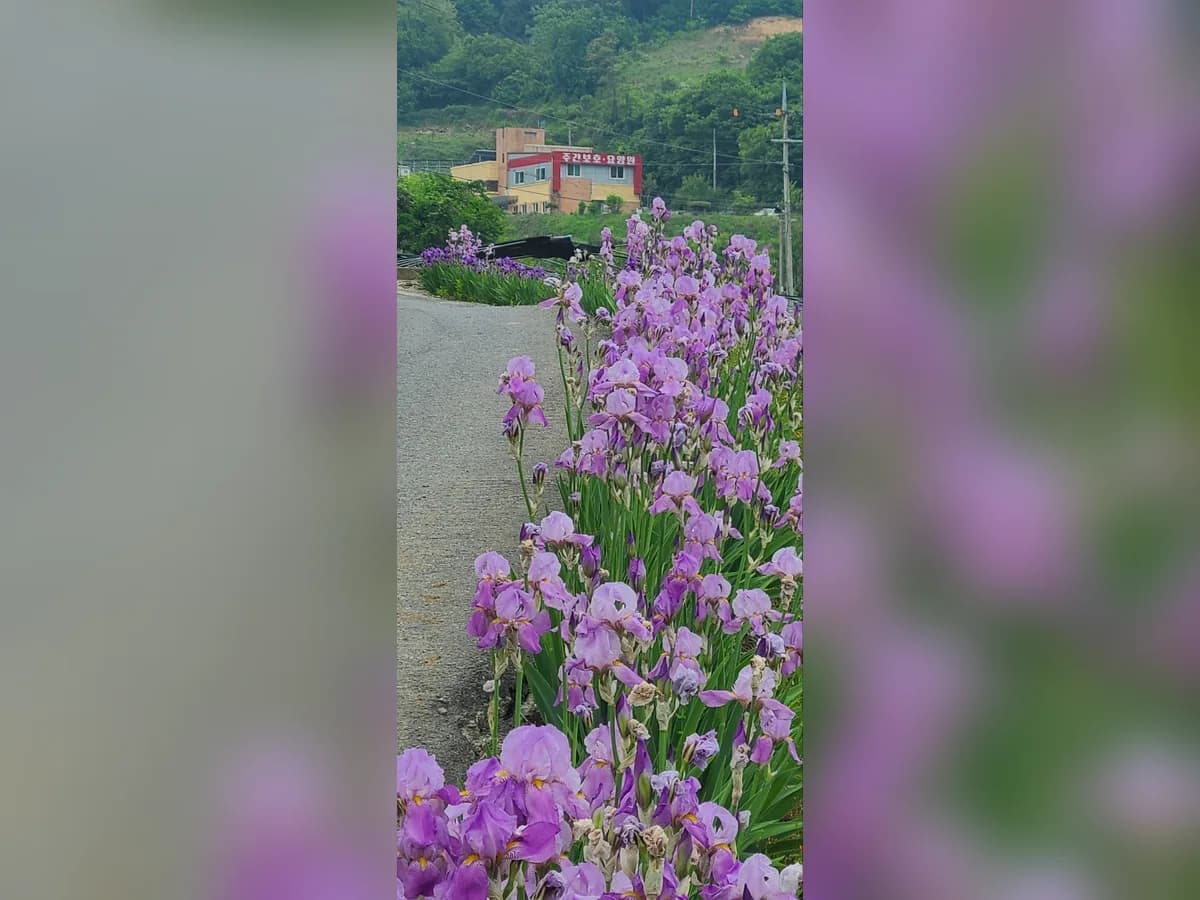 추부노인복지센터 이미지 2