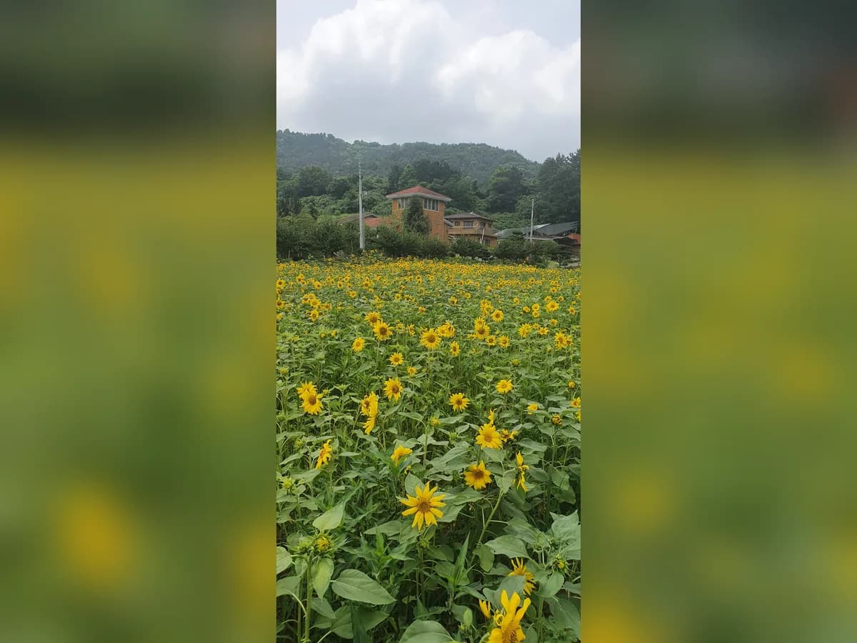 동부재가노인통합지원센터 이미지 1