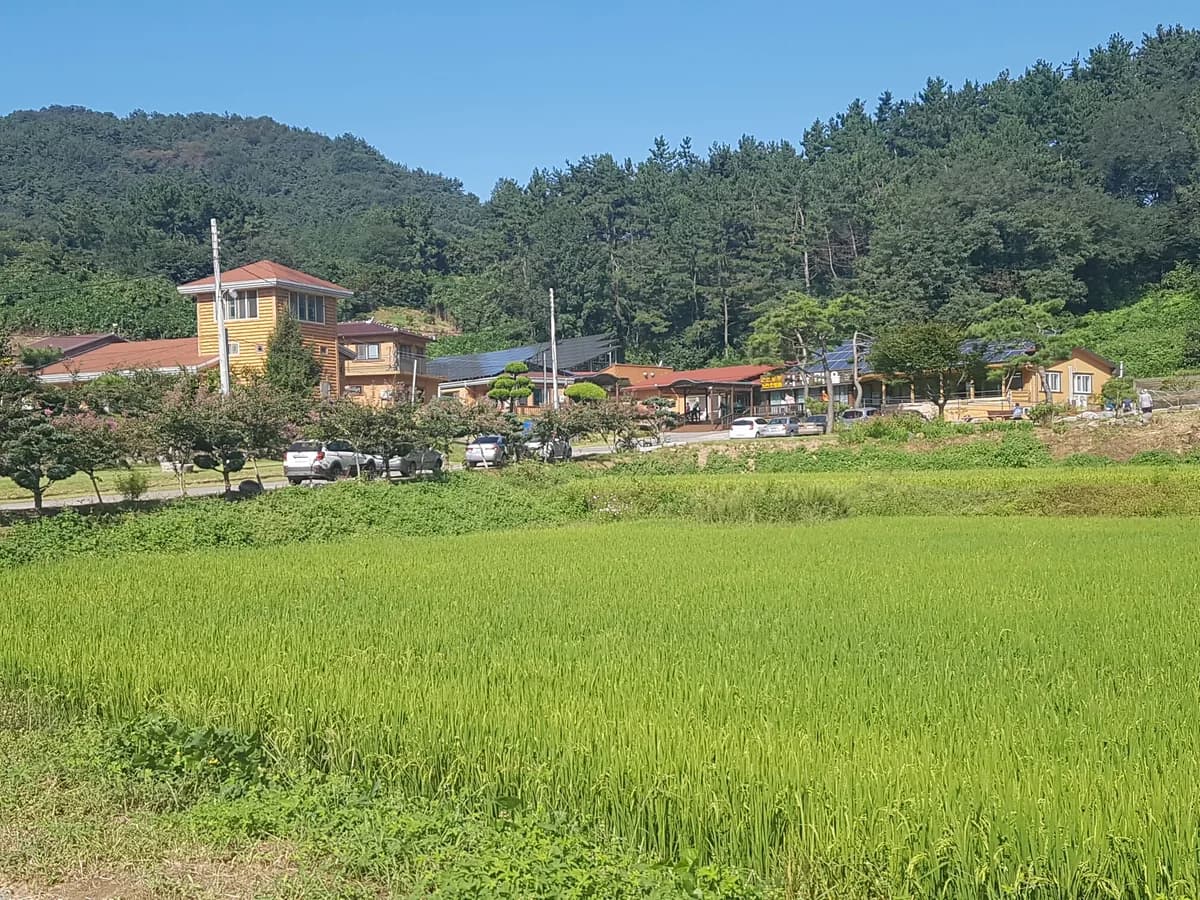 동부재가노인통합지원센터 이미지 3