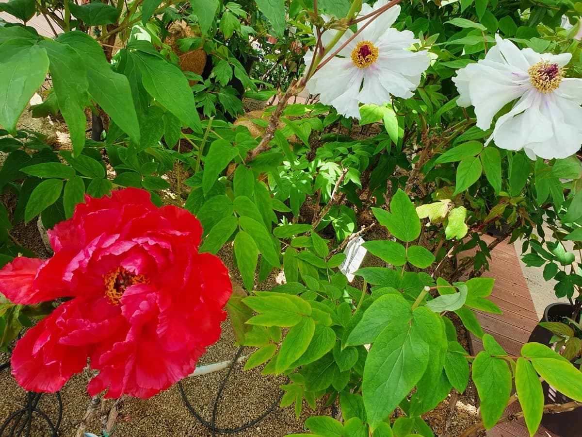 희망365복지센터 이미지 4