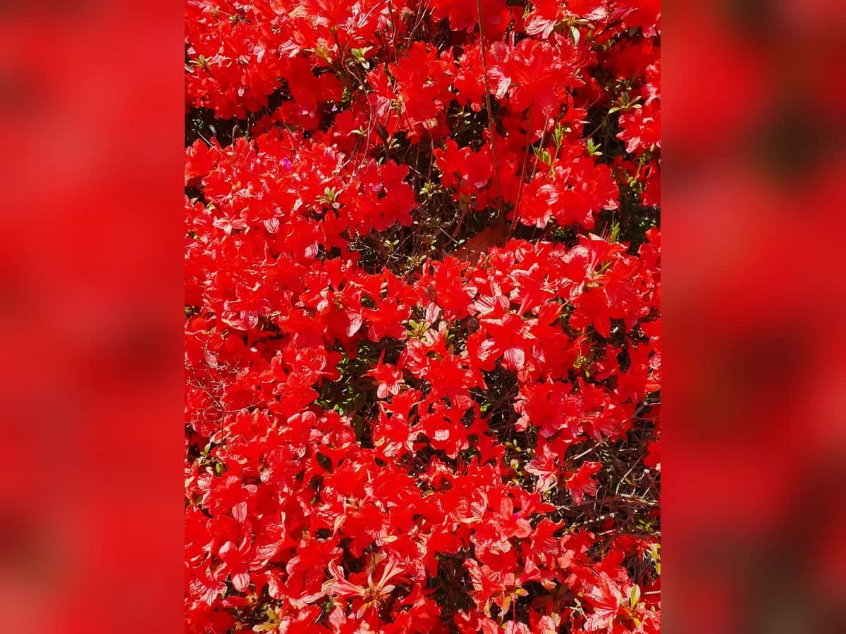 희망365복지센터 이미지 6