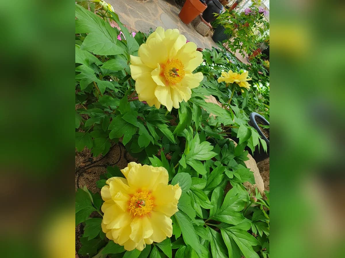 희망365복지센터 이미지 7