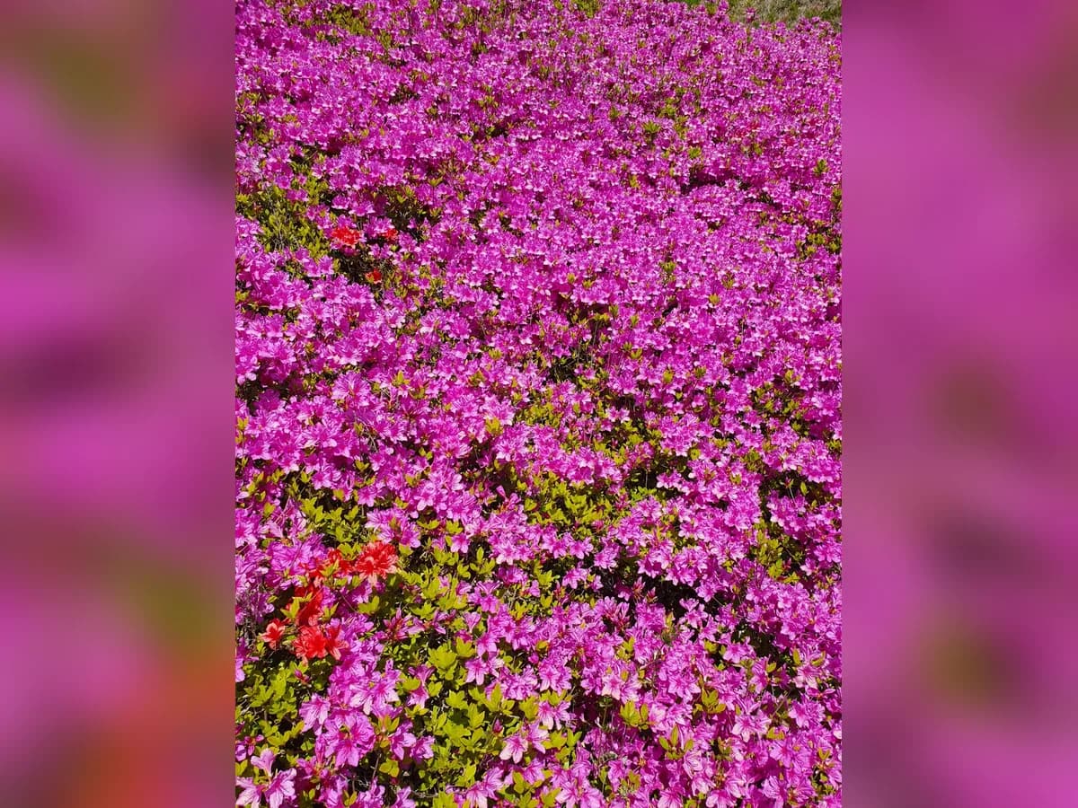 희망365복지센터 이미지 8