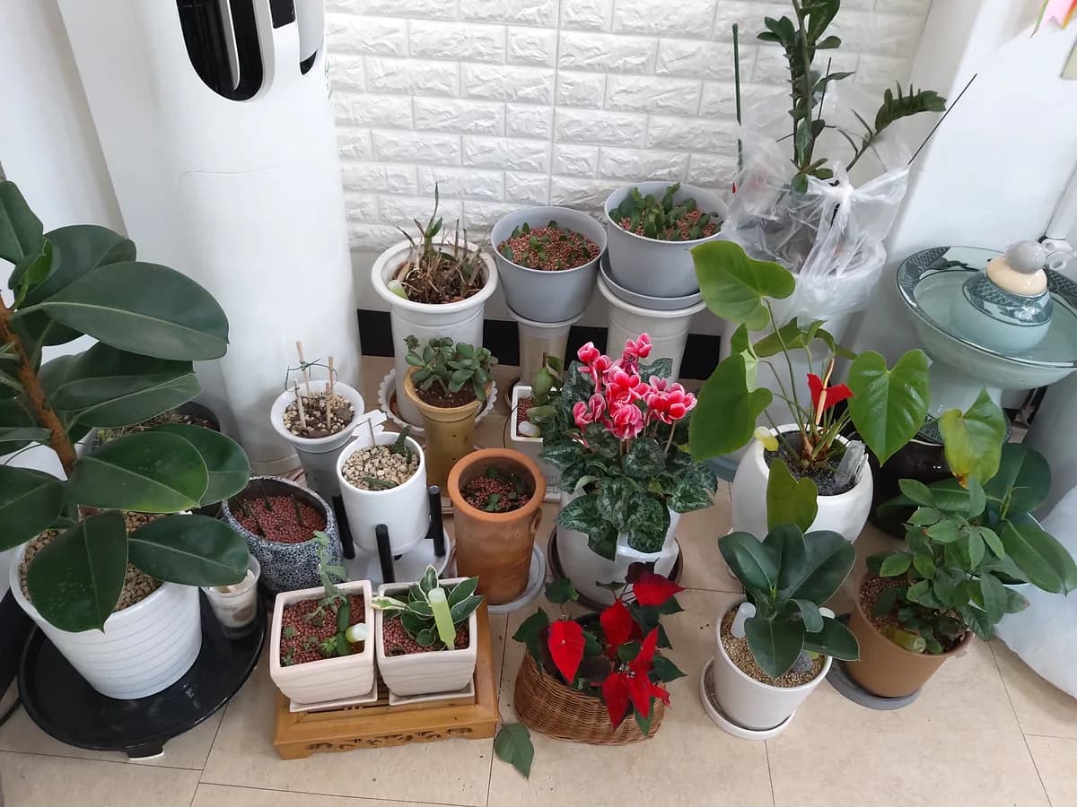 효정노인복지센터 이미지 3