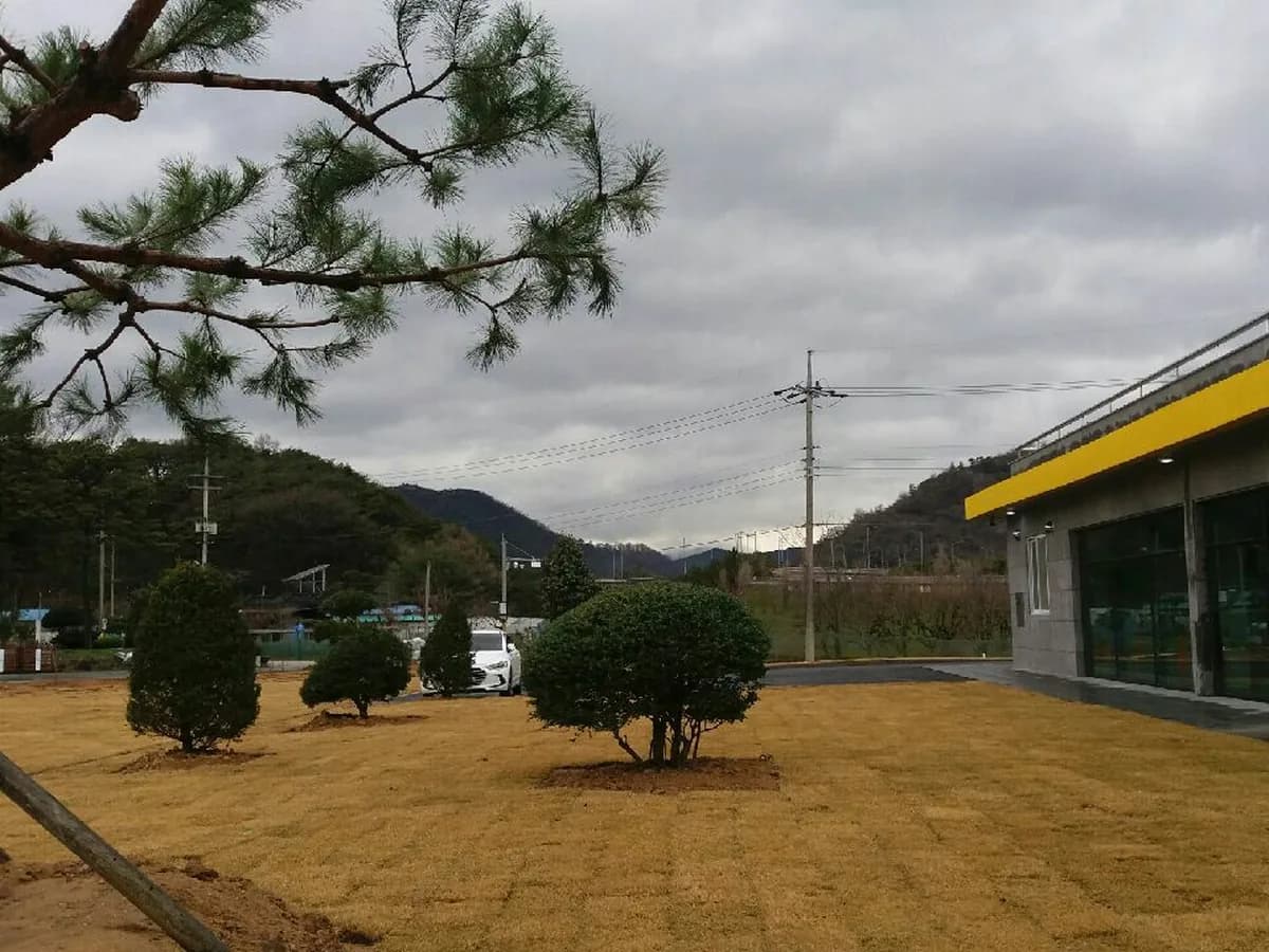 사랑방노인복지센터 이미지 7