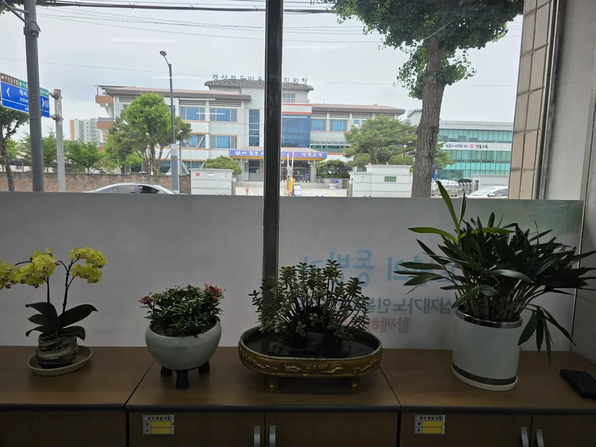 안심재가노인복지센터 이미지 1
