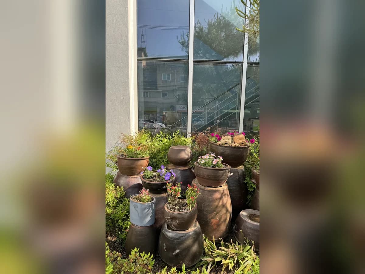 효구미재활데이케어 이미지 2
