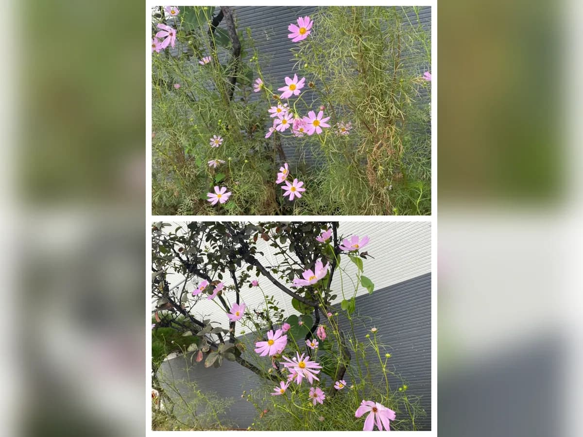 9988노인주간보호전문센터 이미지 2