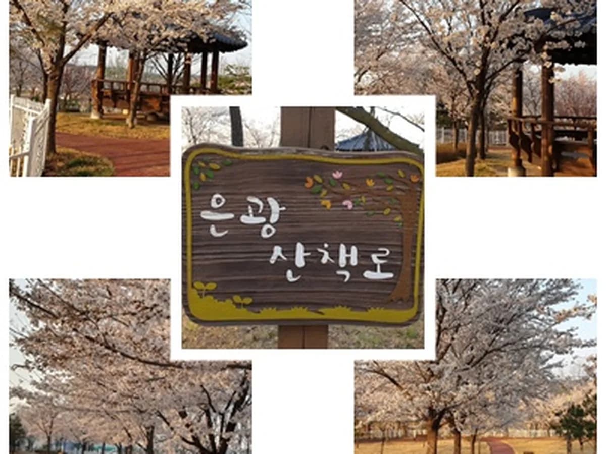 은광노인복지센터 이미지 1