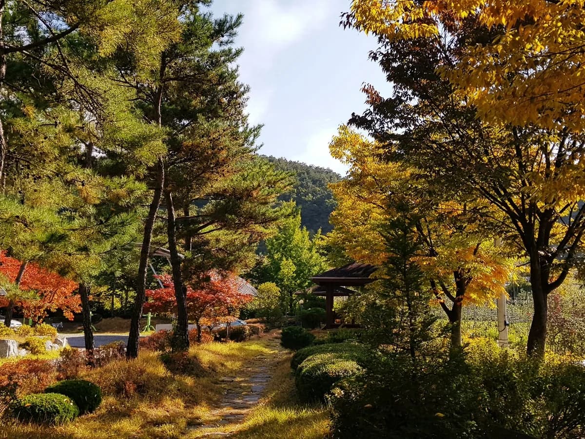 작은자재가노인복지센터 이미지 5