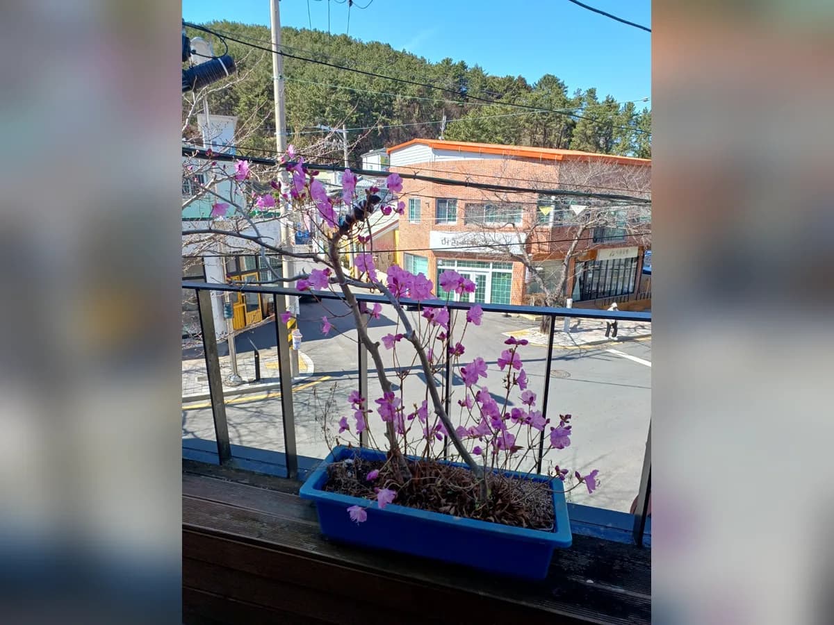 거통 노인간호재가센터 이미지 1