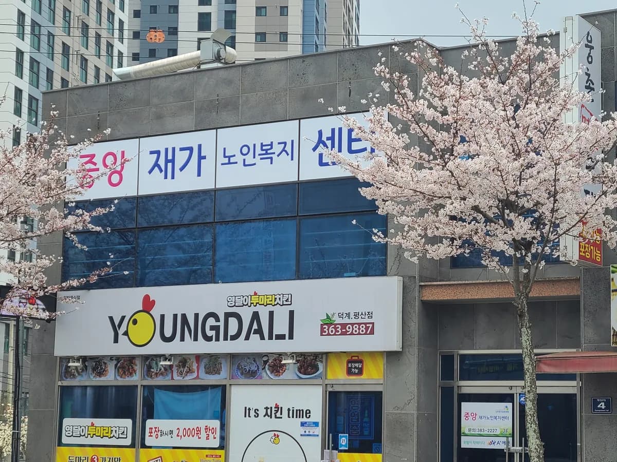 중앙재가노인복지센터 이미지 2