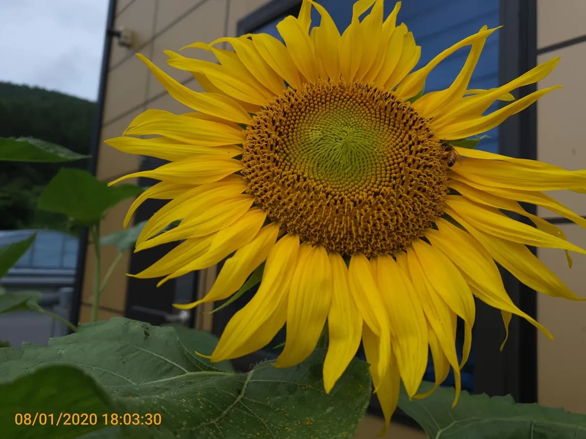 남면어르신학교 이미지 3