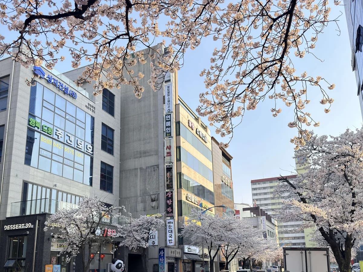 행복드림 주간보호센터 이미지 1