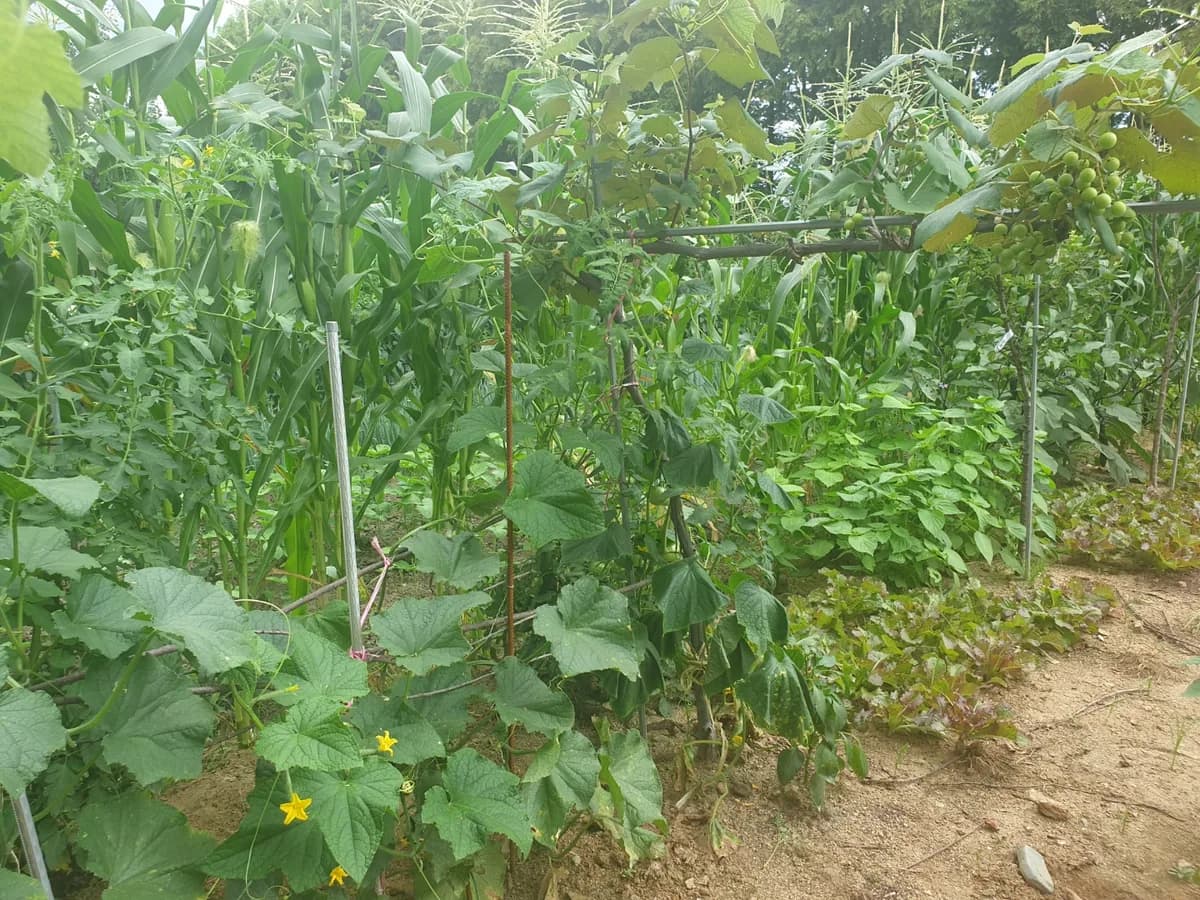 자연숲 주간보호센터 이미지 4