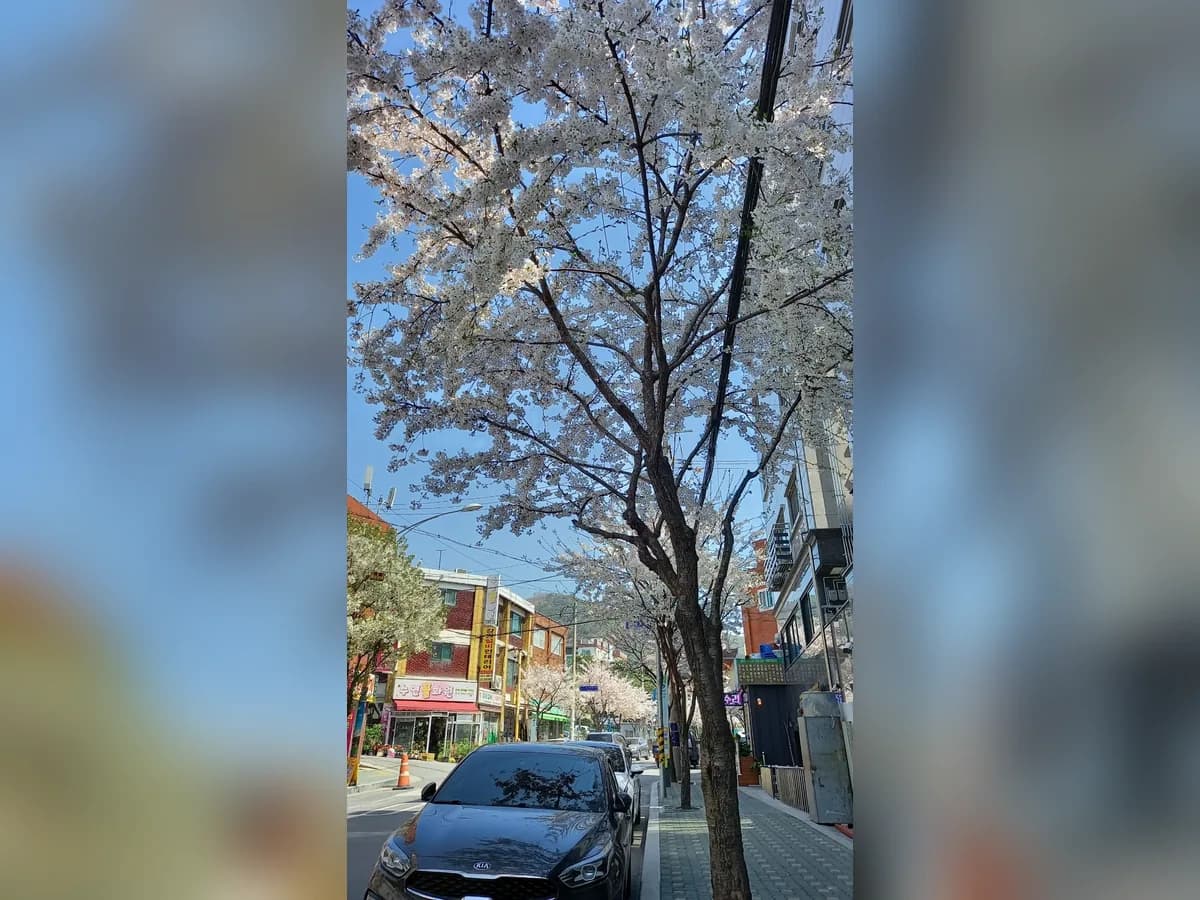 가까운방문요양센터 이미지 4