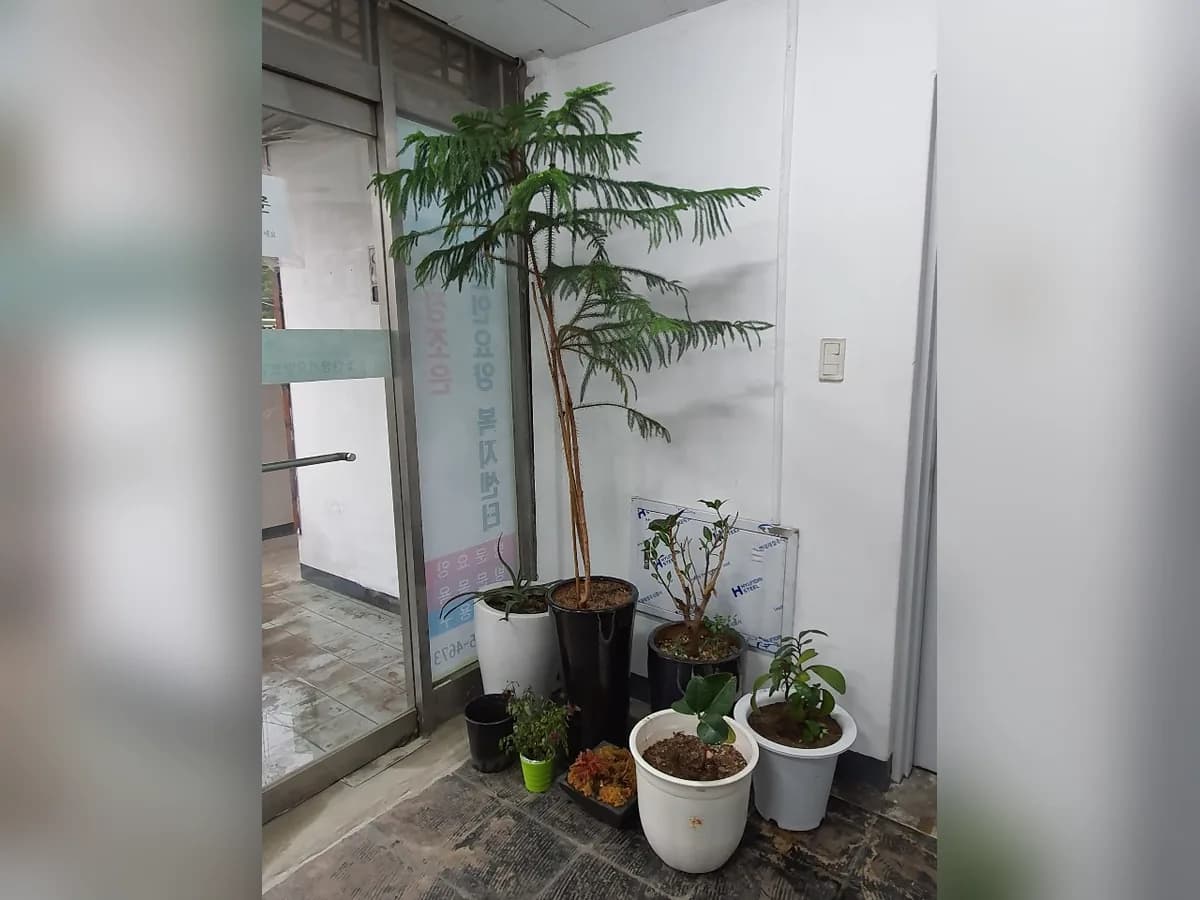 가족같은 노인요양복지센터 이미지 5