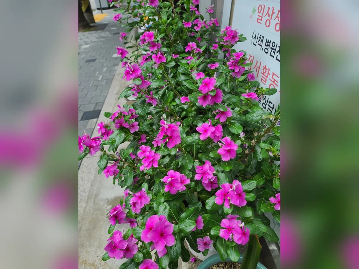 돌보미방문요양센터 이미지 2