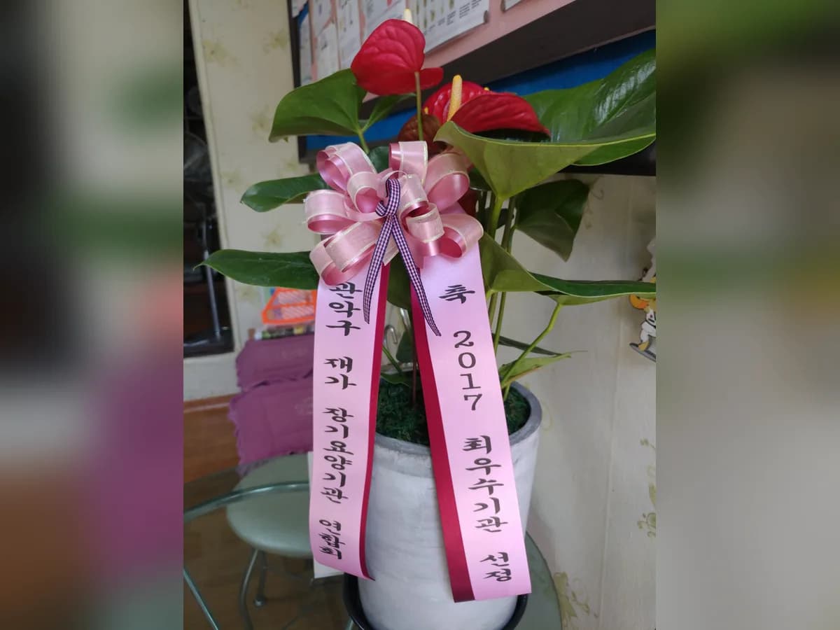 엘림재가복지센터 이미지 2