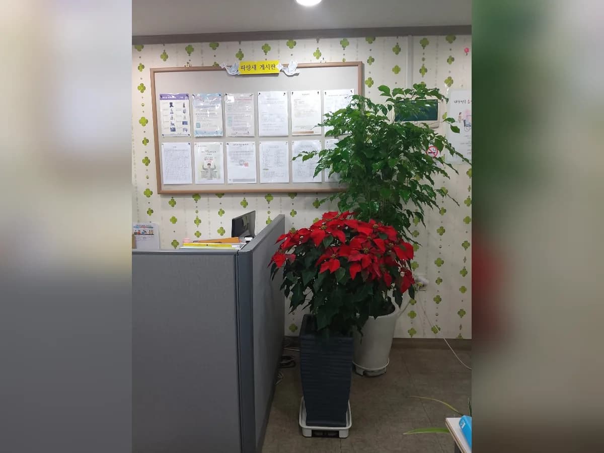 '파랑새'재가노인복지센터 이미지 3