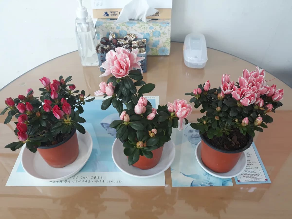 섬김노인요양센타 이미지 2