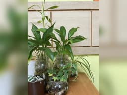 (주)사랑모아도건