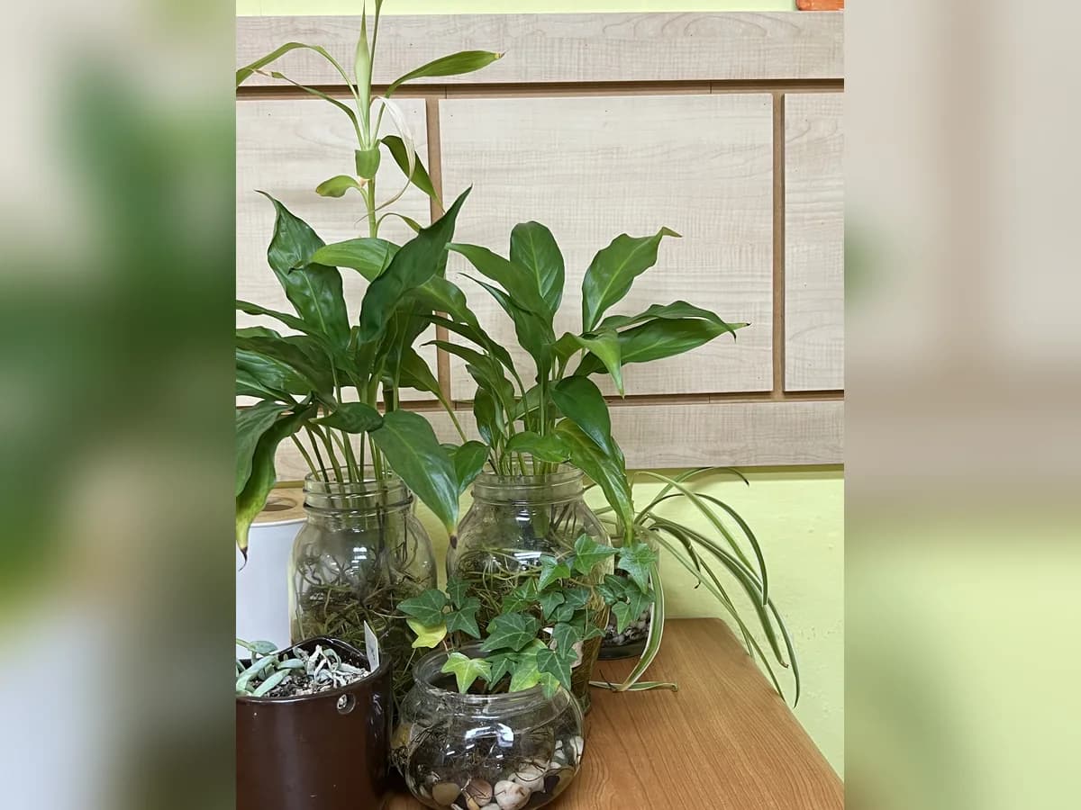(주)사랑모아도건 이미지 1