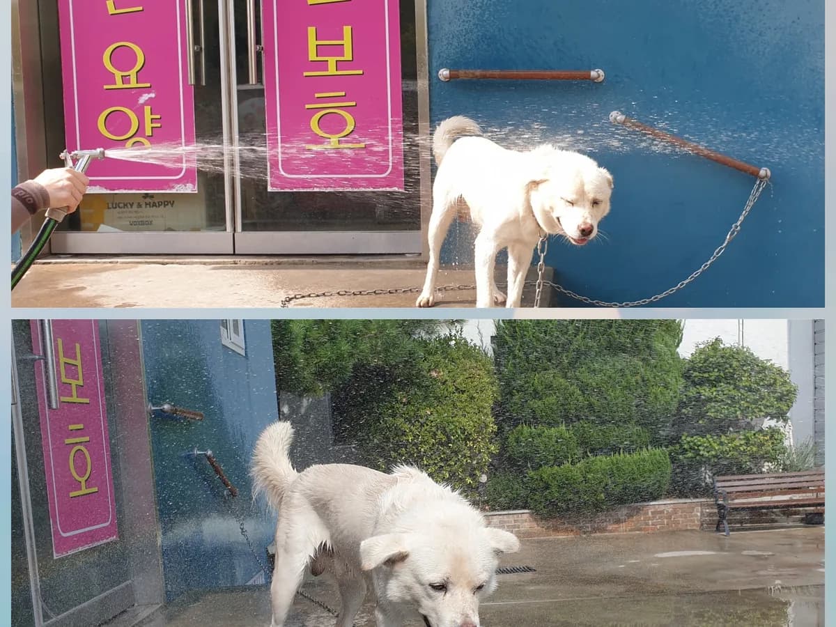 사랑愛 재활 주야간보호센터 이미지 4