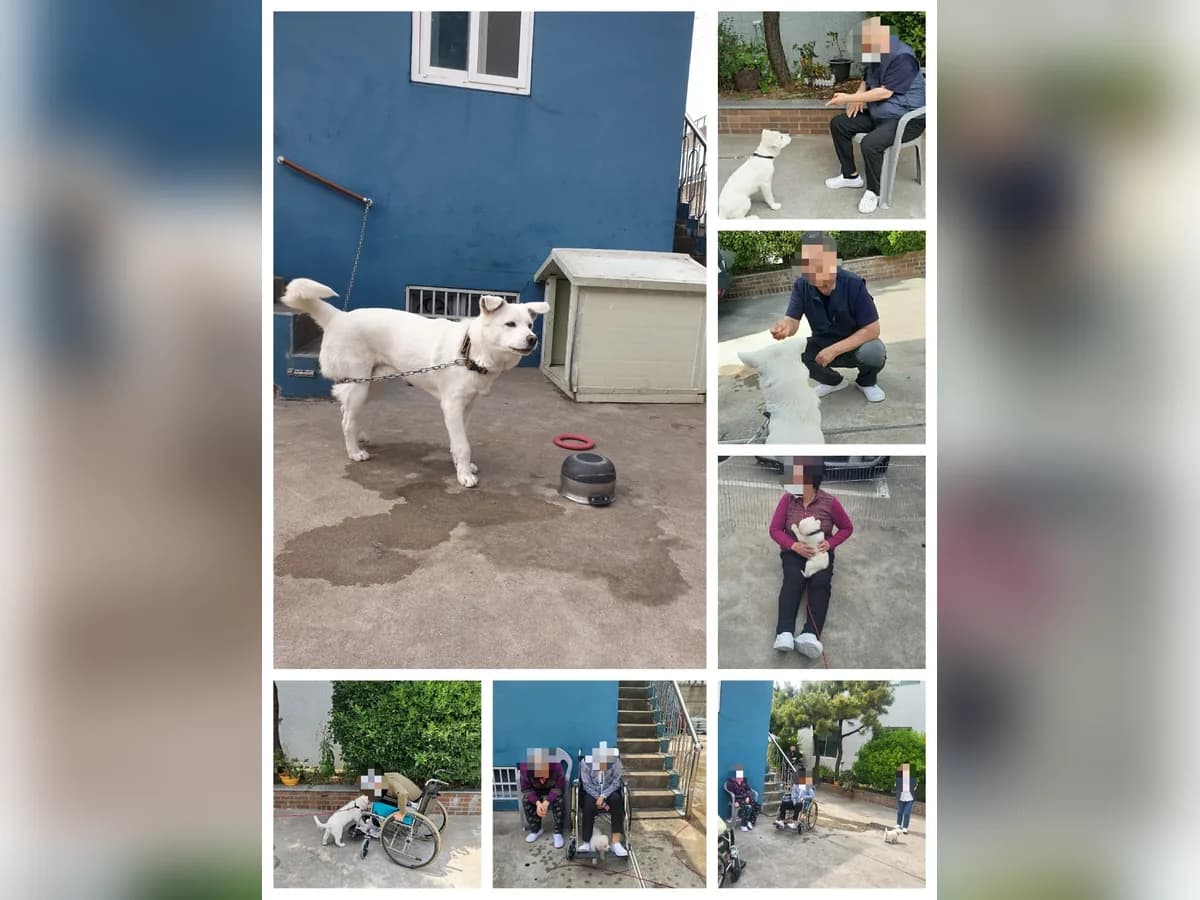 사랑愛 재활 주야간보호센터 이미지 7