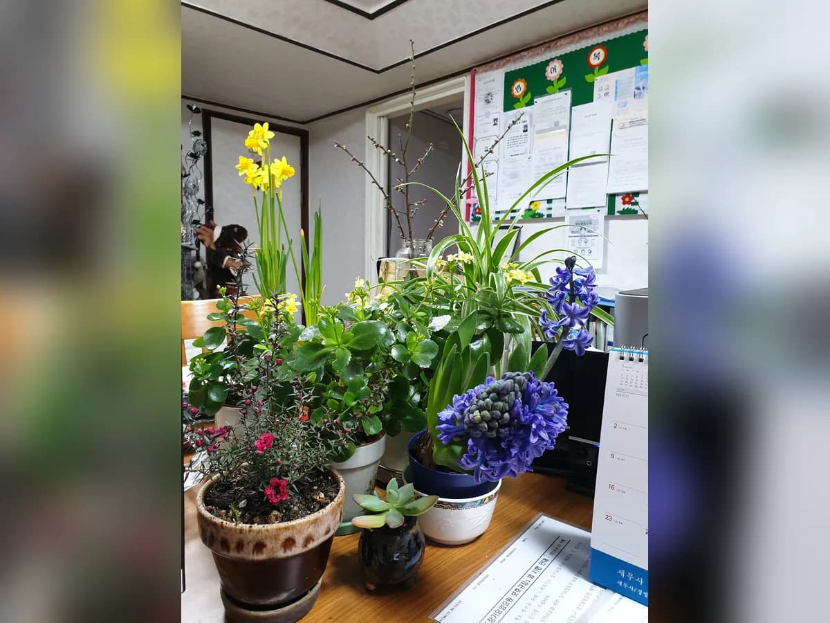 범어노인복지센타 이미지 2