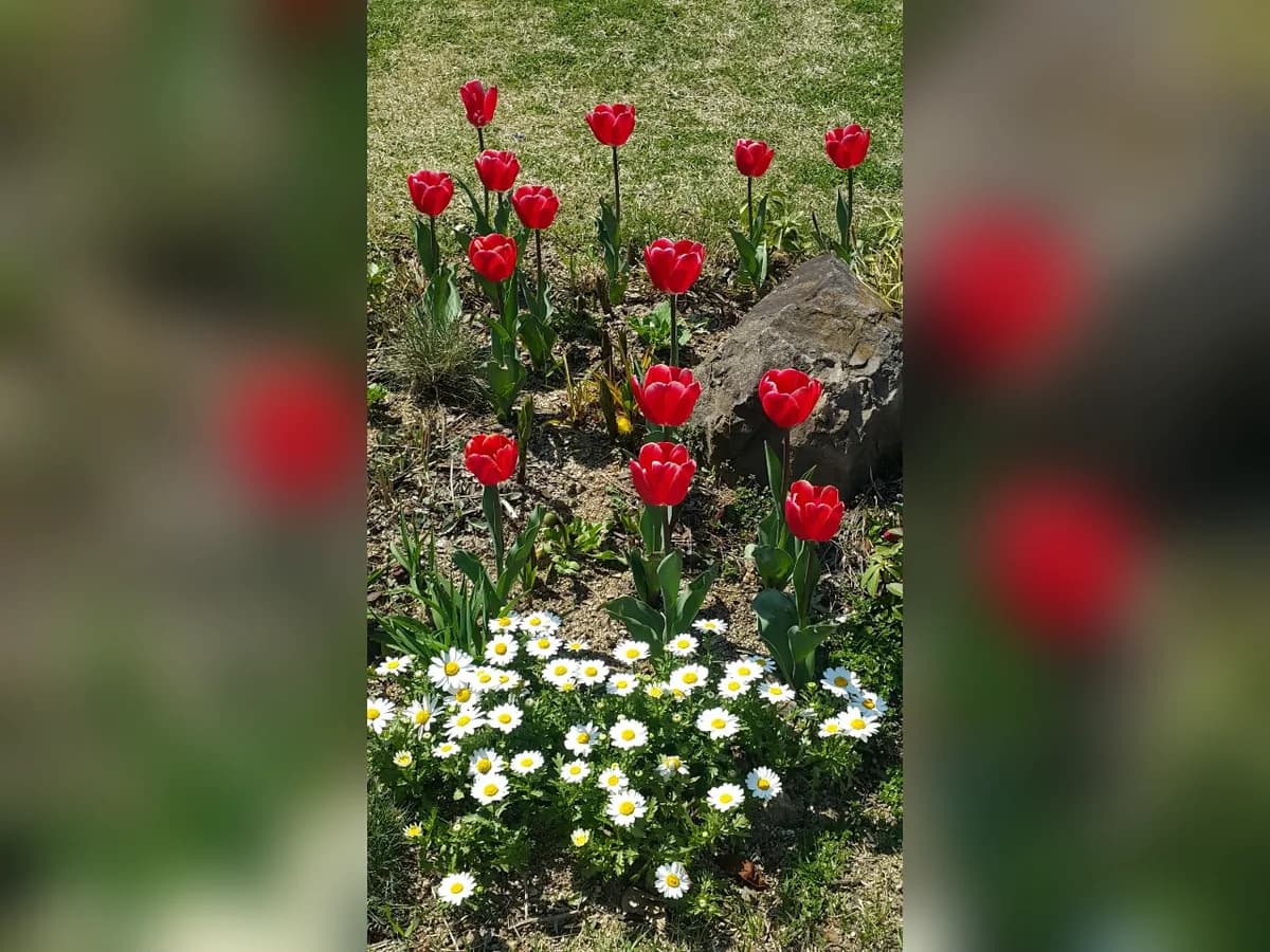 행복재가장기요양센터 이미지 2