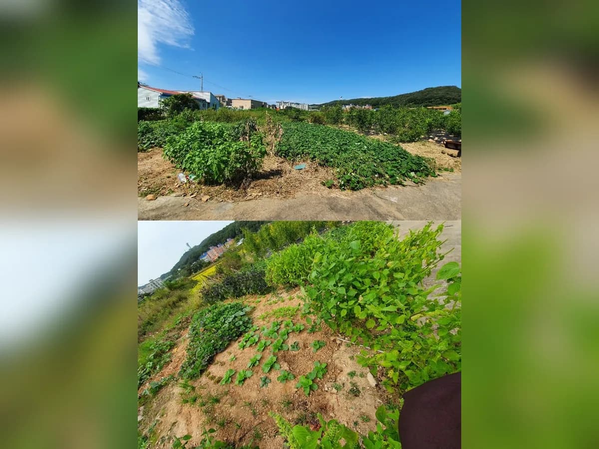 영종장수노인주야간보호센터 이미지 2