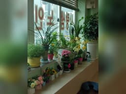 사랑샘 재가노인복지센터
