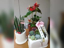 보듬재가노인복지센터