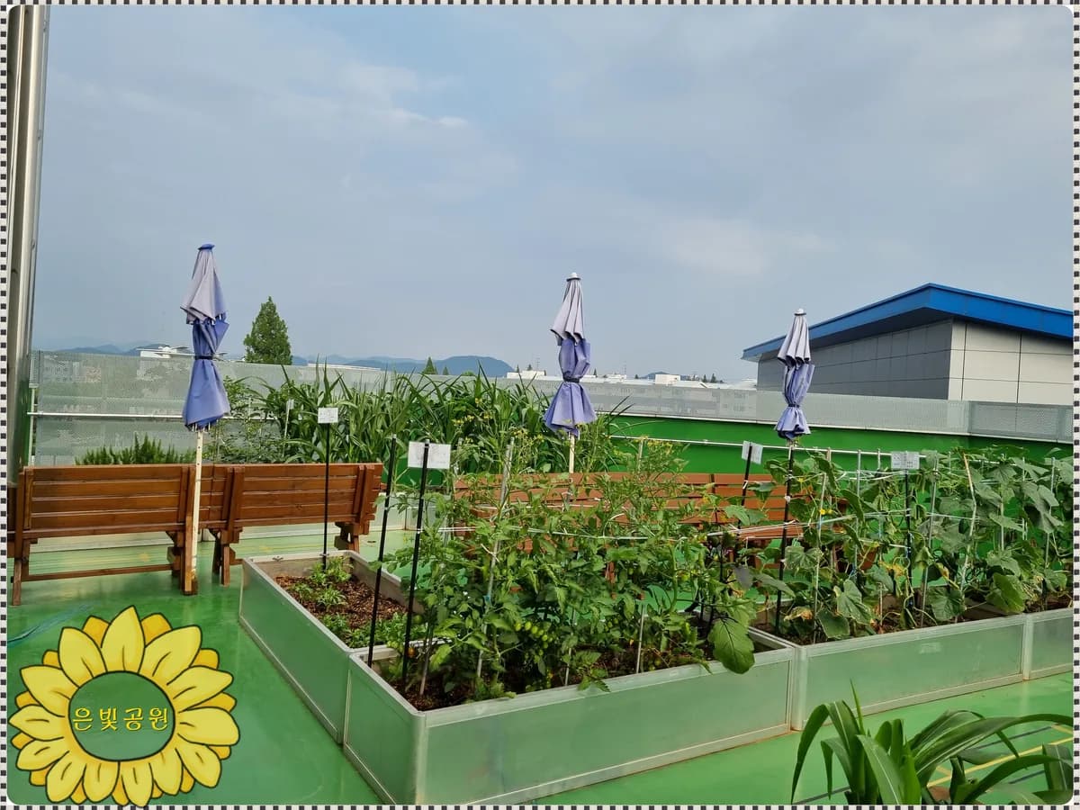 은빛누리재가노인복지센터 이미지 1