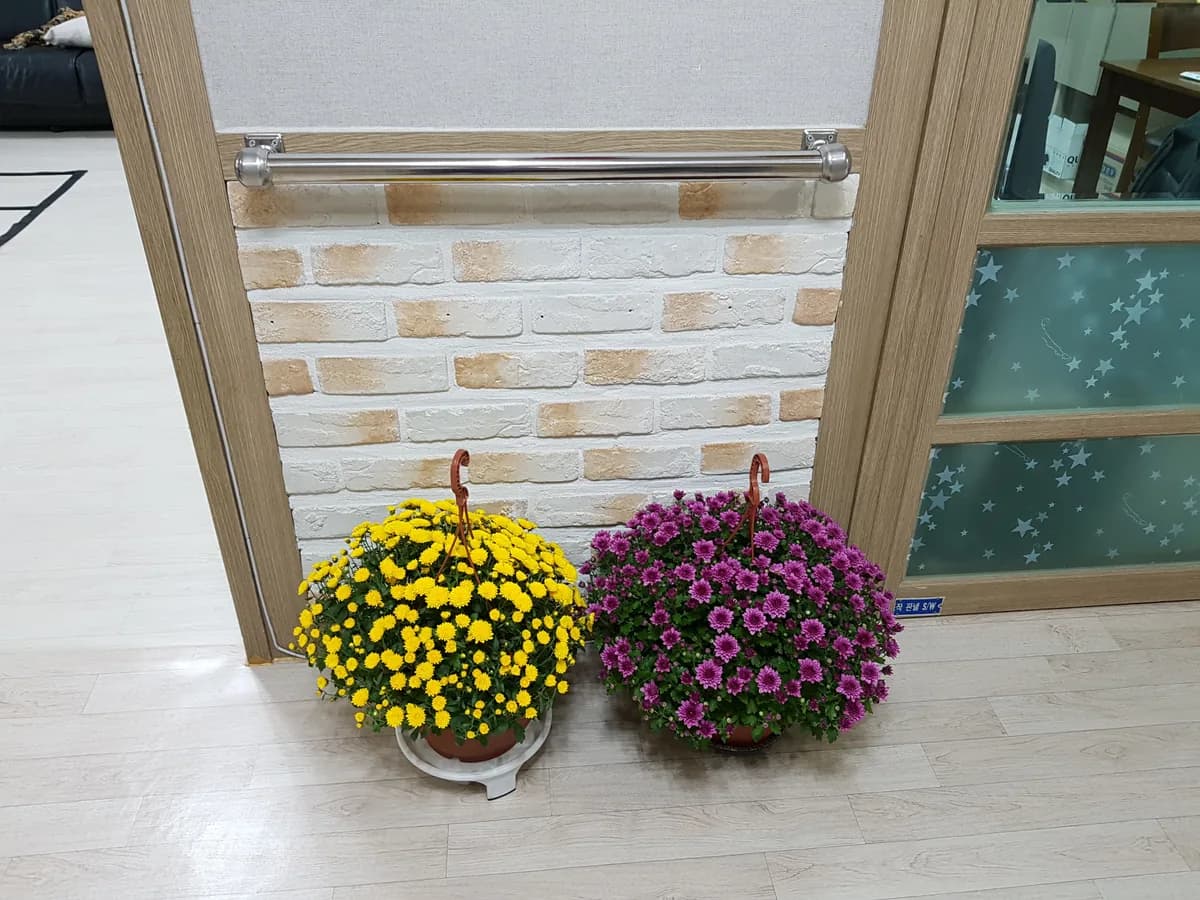 다정한재가노인복지센터 이미지 4