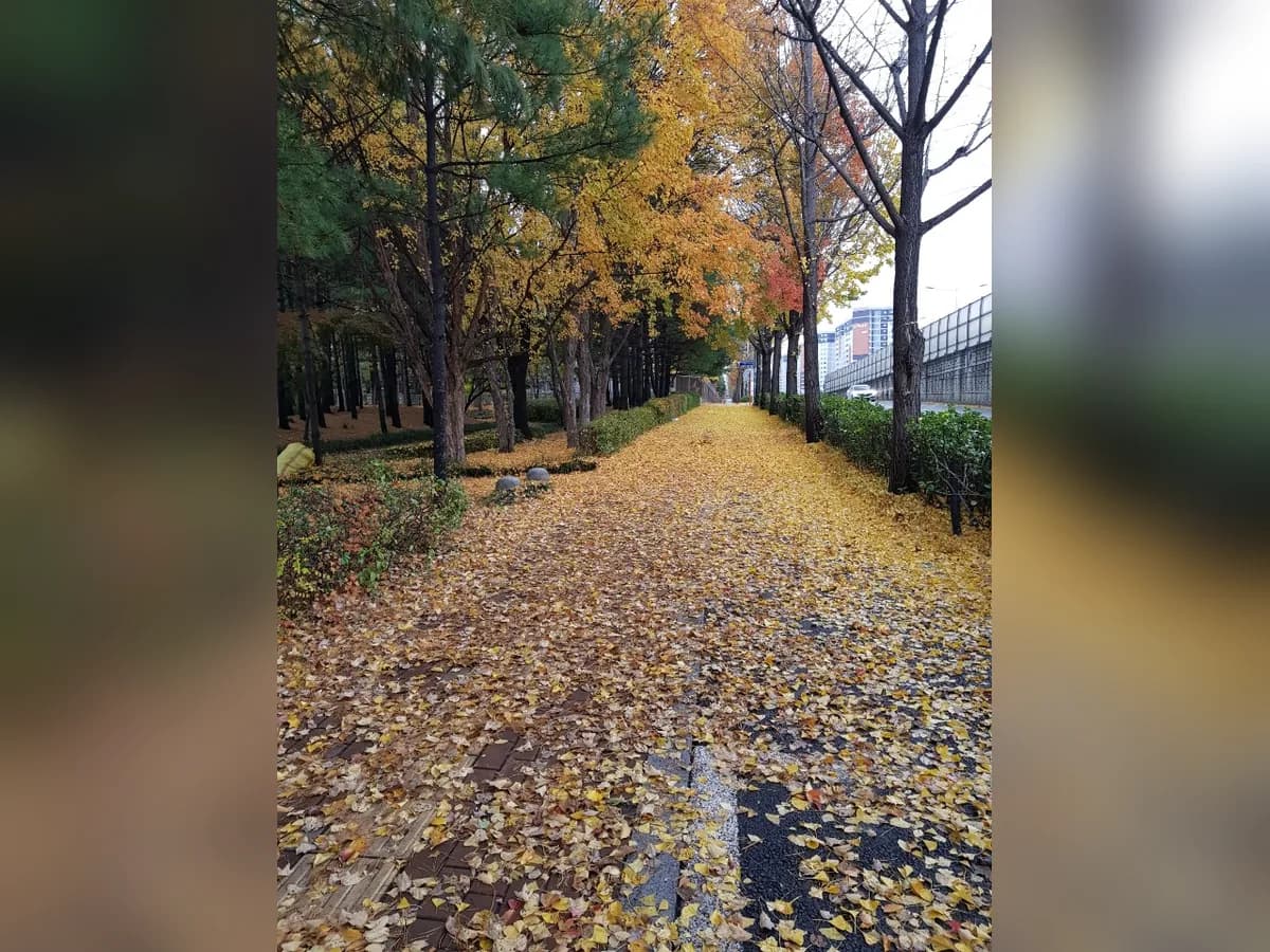 행복요양센터 이미지 4