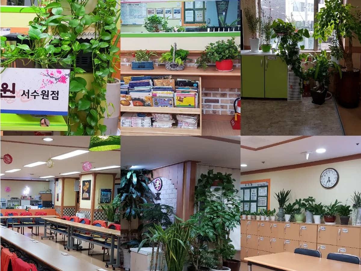 "효자노치원" 서수원점 이미지 6