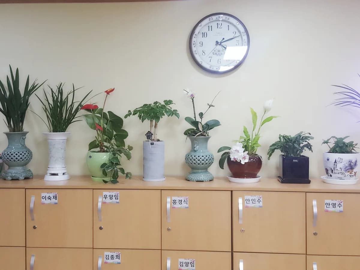 "효자노치원" 서수원점 이미지 8