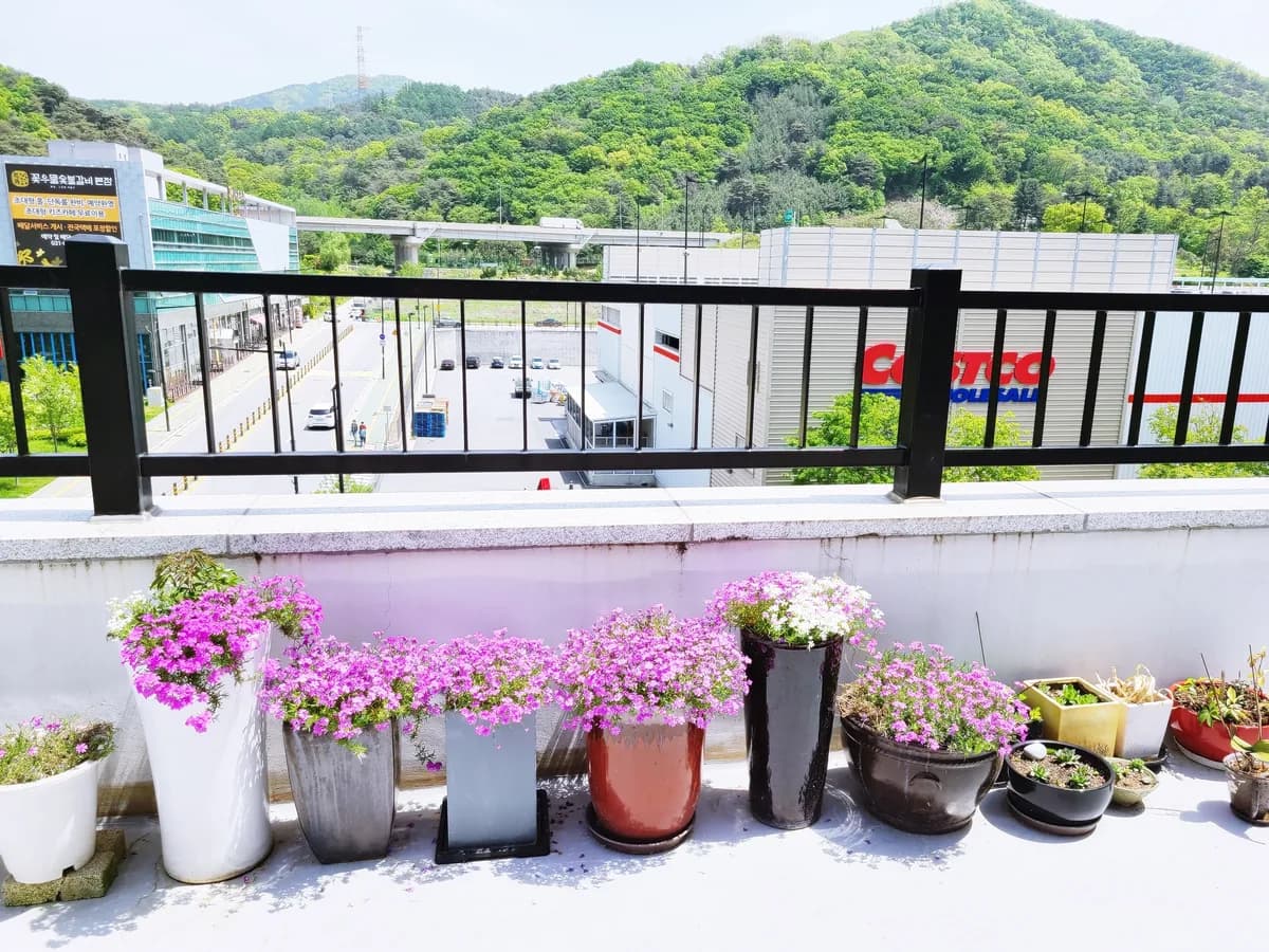 사랑샘노인재가복지센터 이미지 4