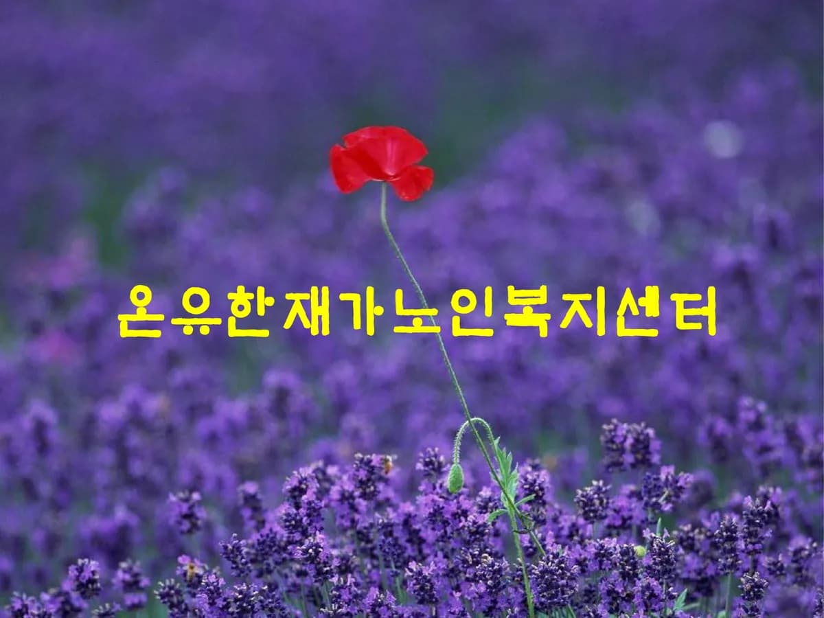 온유한재가노인복지센터 이미지 3