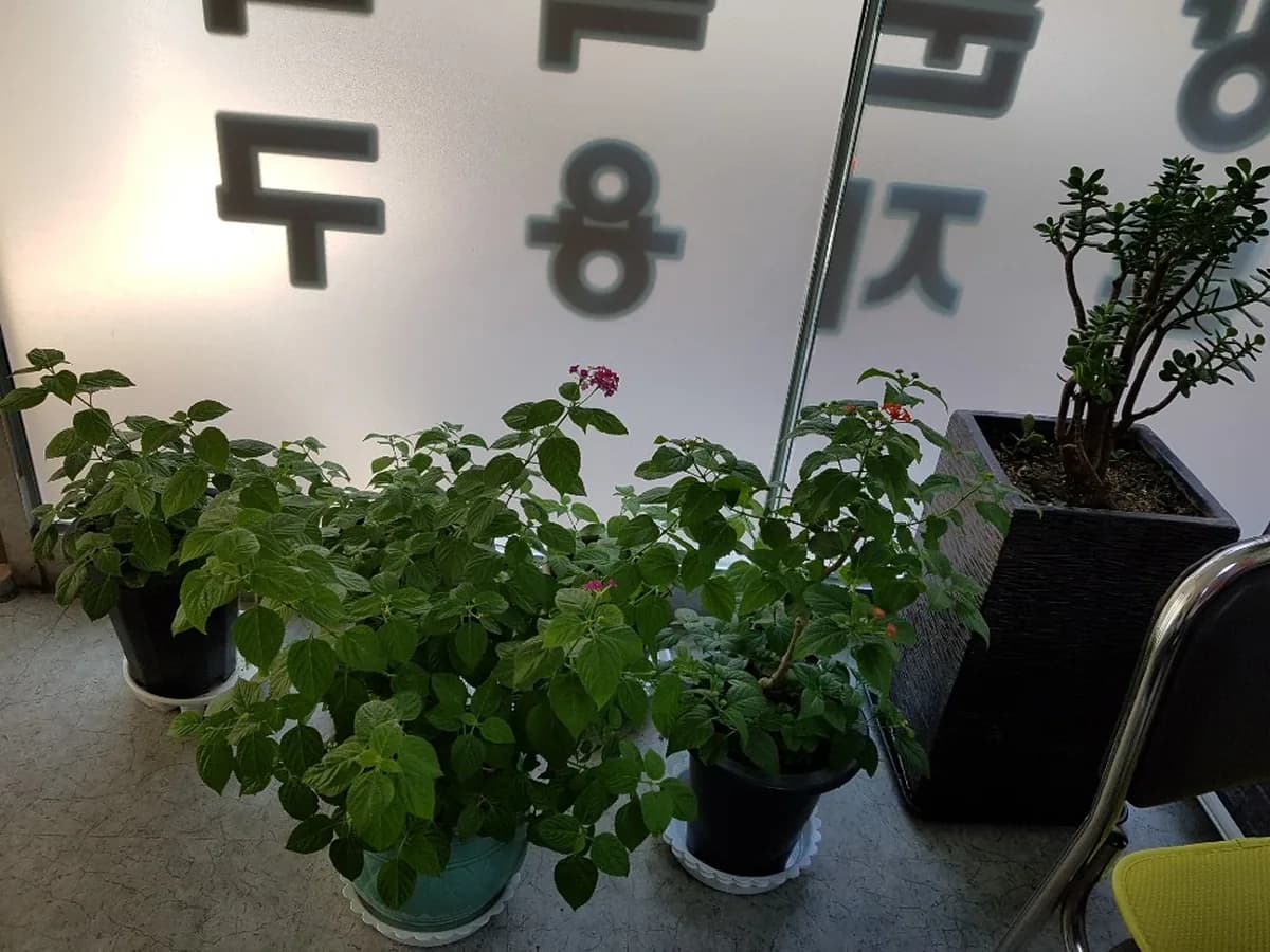 안양은빛노인복지센터 이미지 6