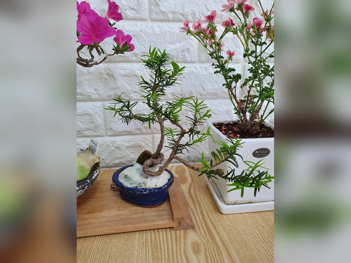 한빛방문요양센터 이미지 2
