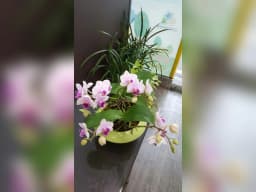 편안한방문요양센터