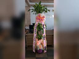 (A)비지팅엔젤스 평택안중방문요양지점