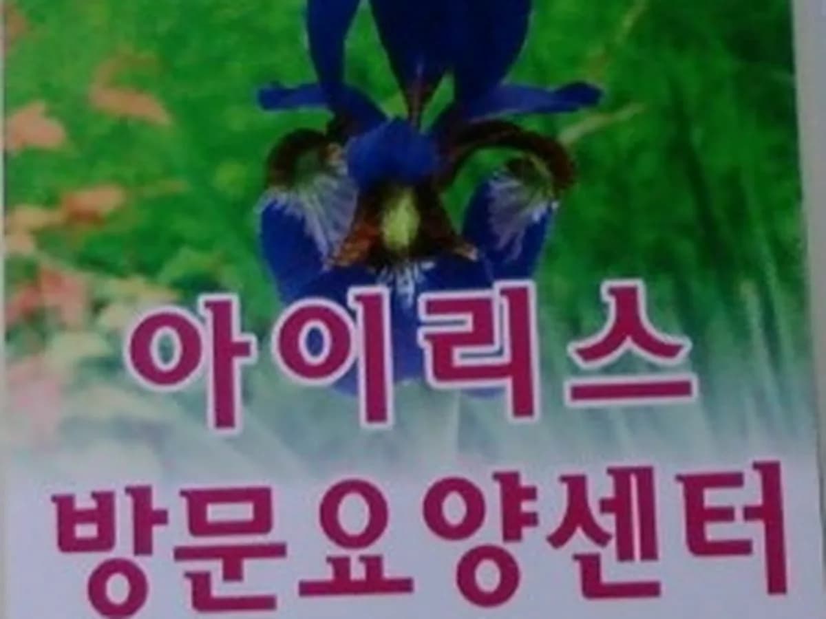 아이리스방문요양센터 이미지 4
