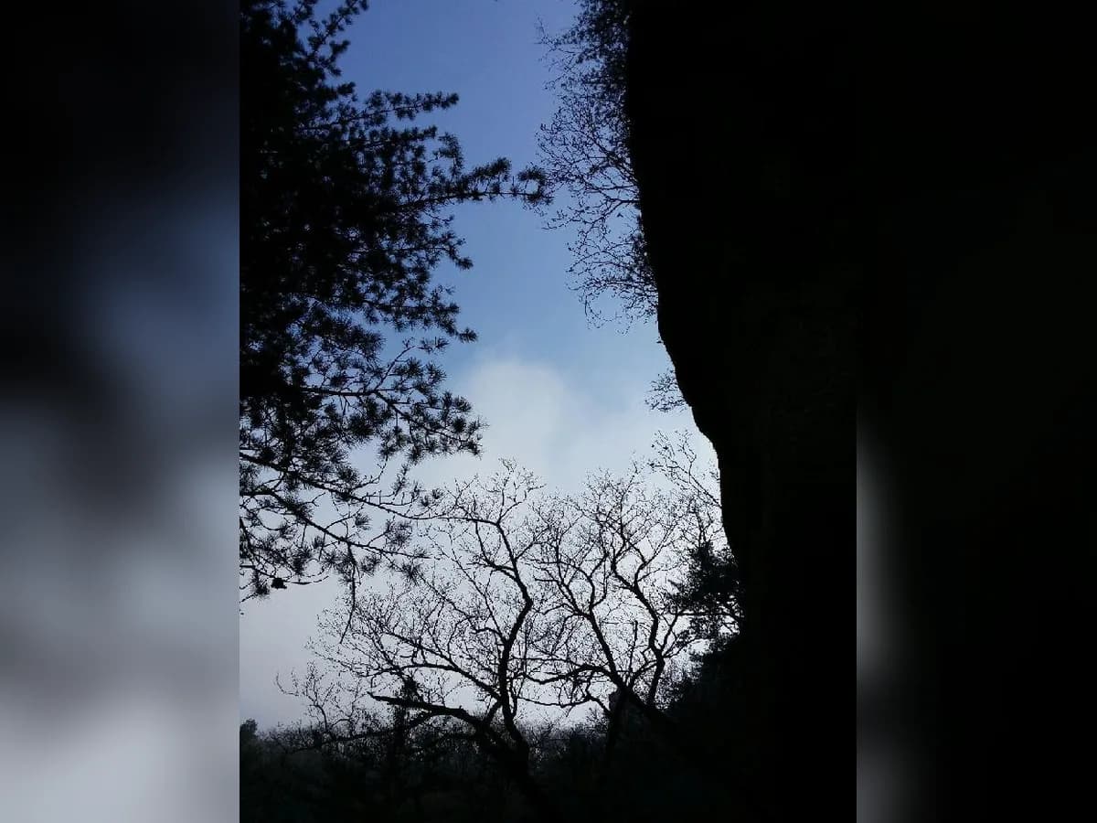 에버그린 복지센터 이미지 8