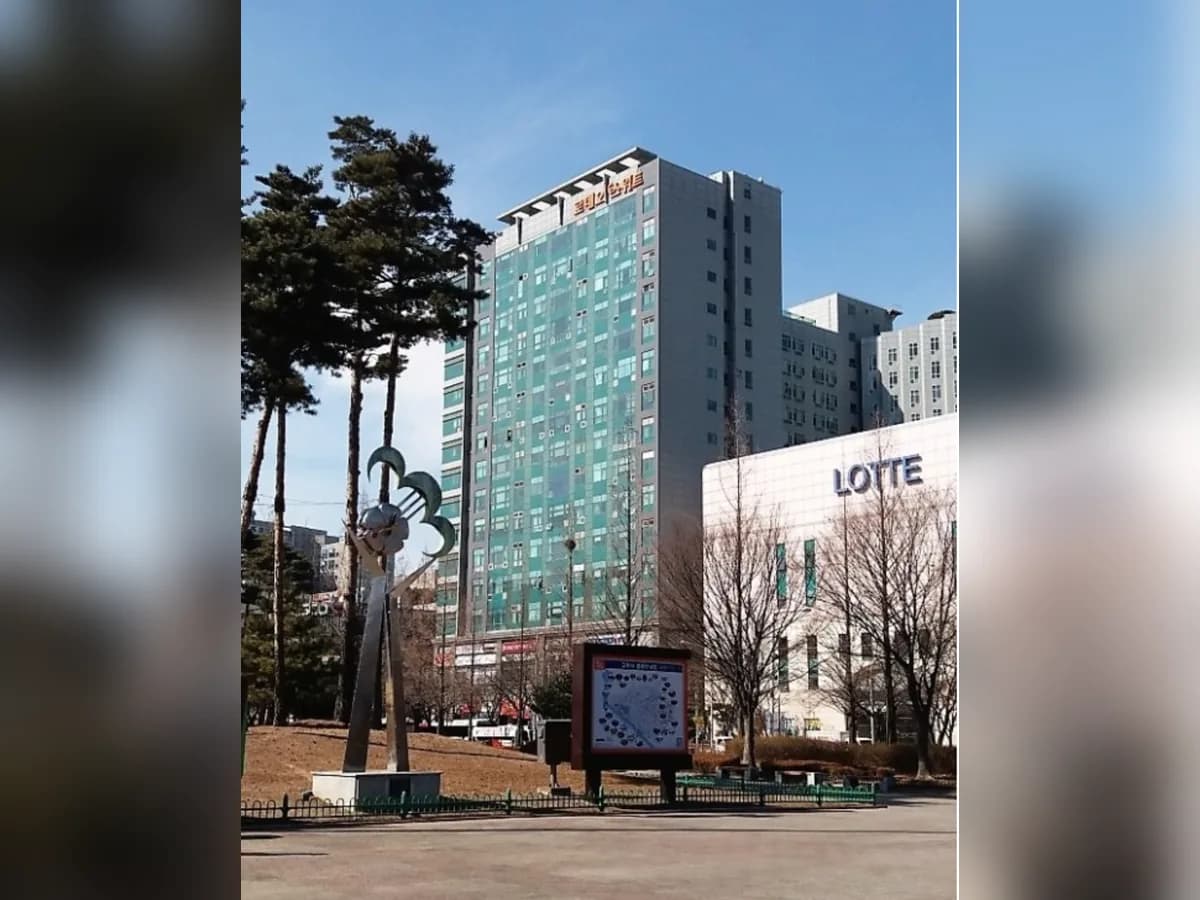 해바라기홈케어 이미지 6