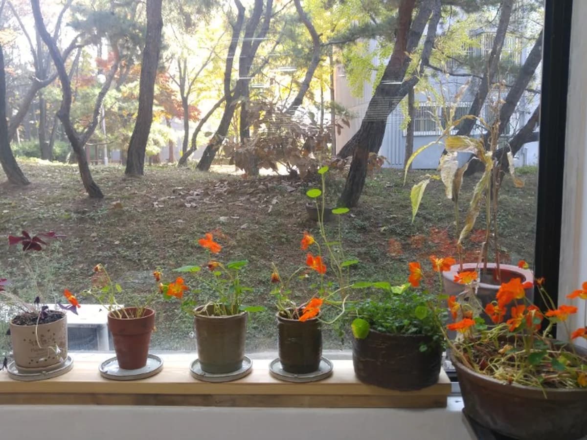 풀밭방문요양센터 이미지 3