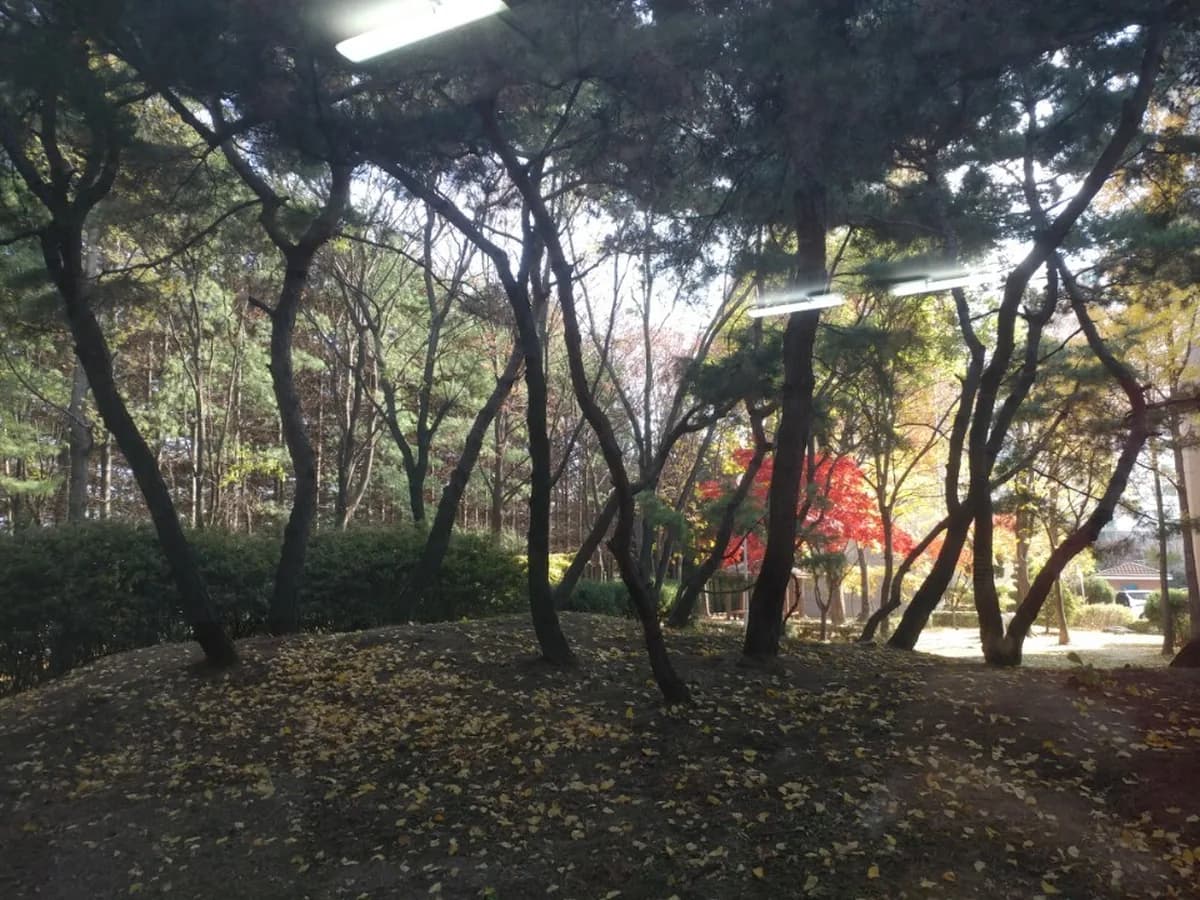 풀밭방문요양센터 이미지 7